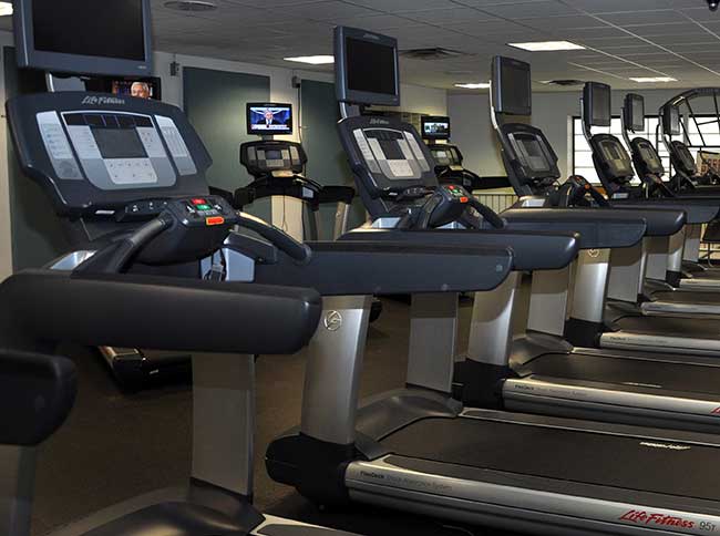 Gym and Fitness Equipment